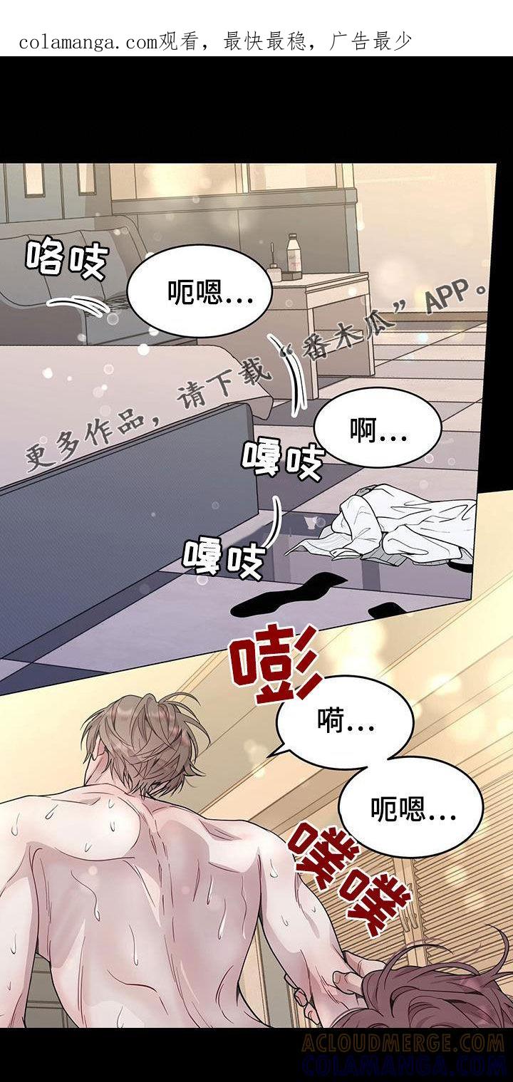 《虚情假意》第65章：太软弱了 第1页