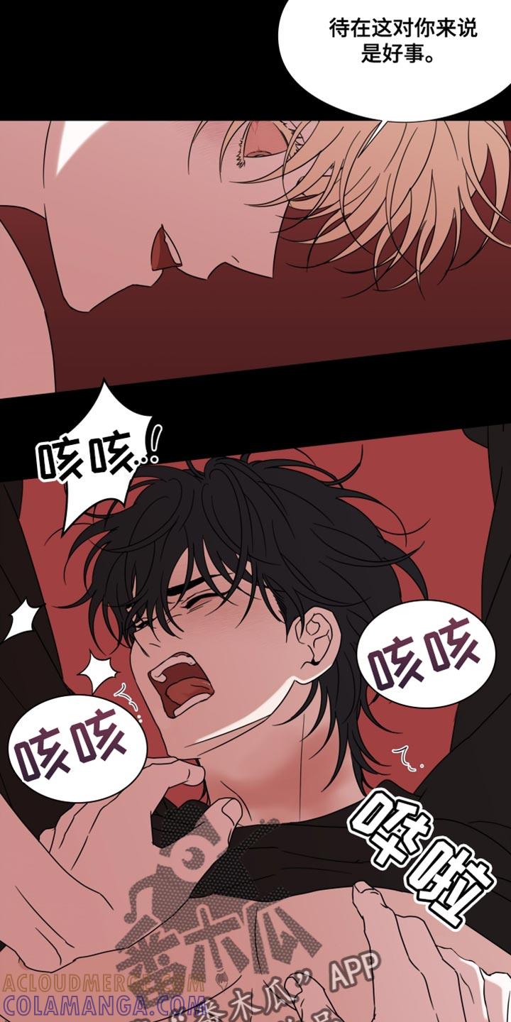 《疯狂禁锢》第66章：【第二季】我不拦着你 第17页