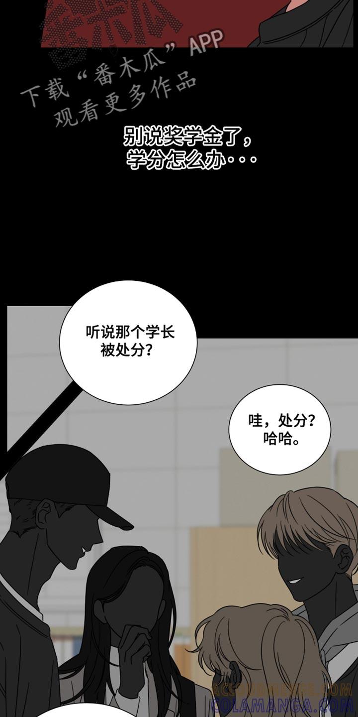 《疯狂禁锢》第67章：【第二季】正常的生活 第13页