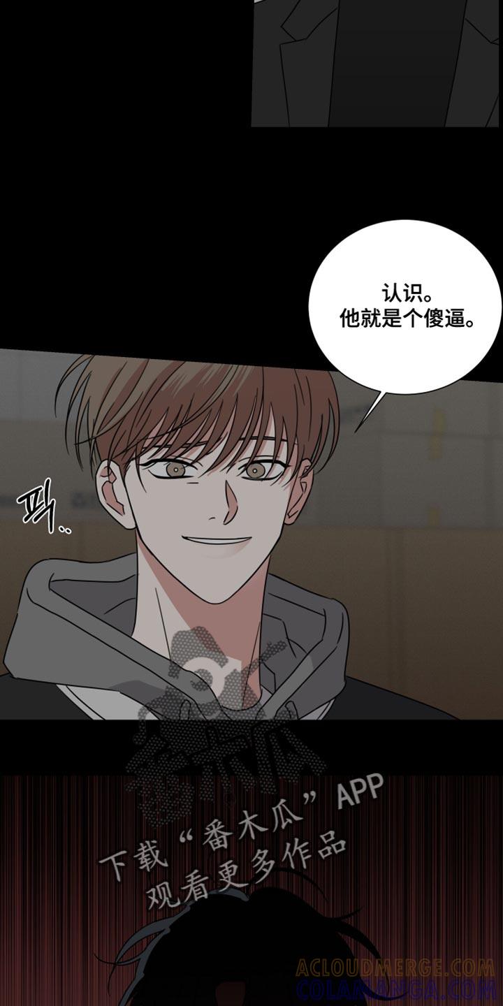 《疯狂禁锢》第67章：【第二季】正常的生活 第15页