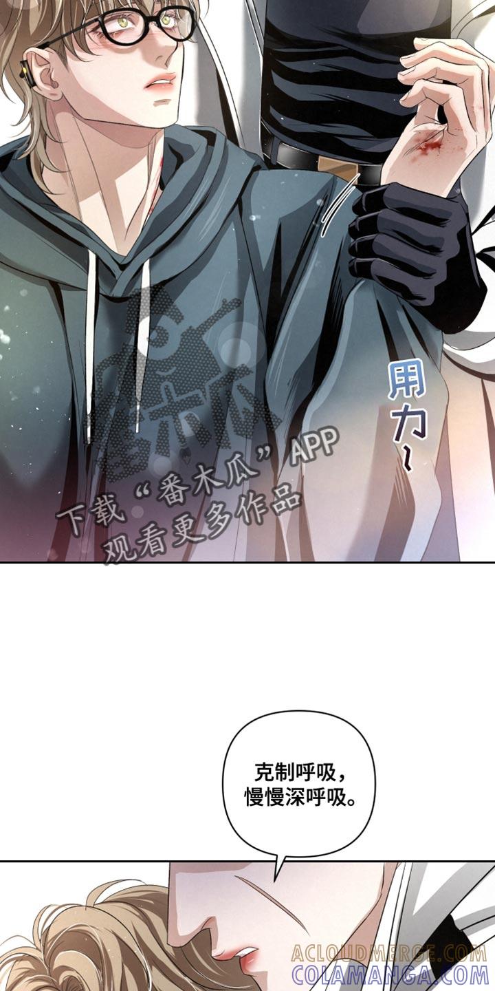 《血液指南》第70章：【第二季】见你一面可真难 第33页