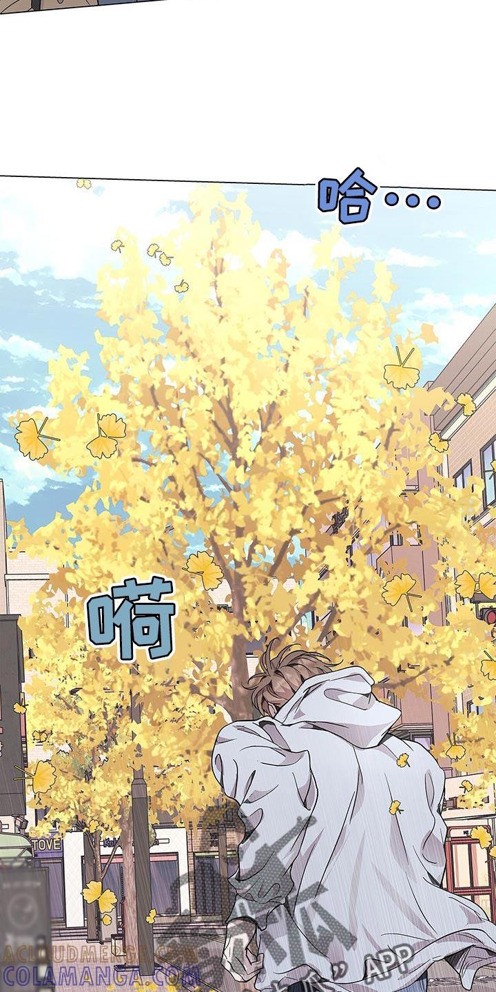 《虚情假意》第73章：大惊小怪 第17页