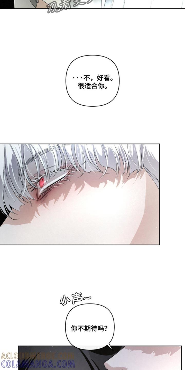《血液指南》第76章：【第二季】法外之地 第7页