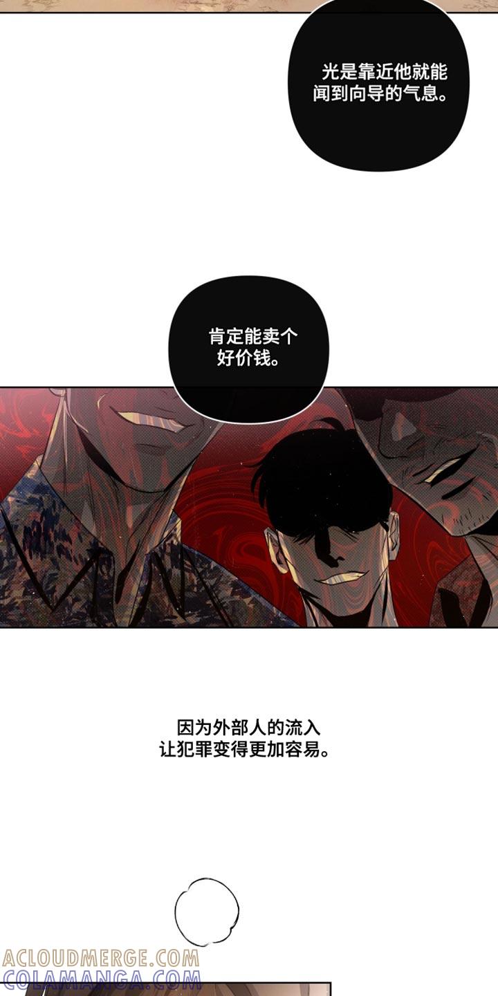 《血液指南》第76章：【第二季】法外之地 第29页