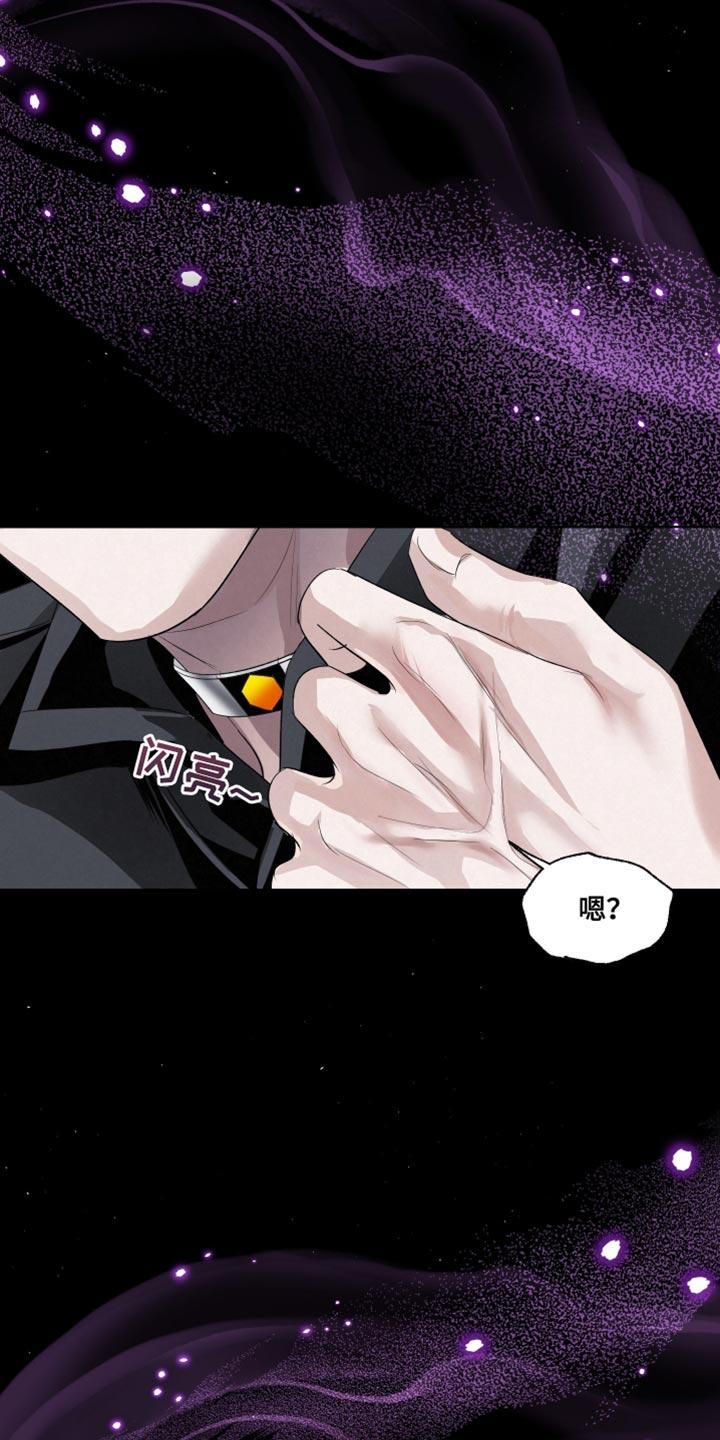 《血液指南》第79章：【第二季】好奇心和傲气 第28页