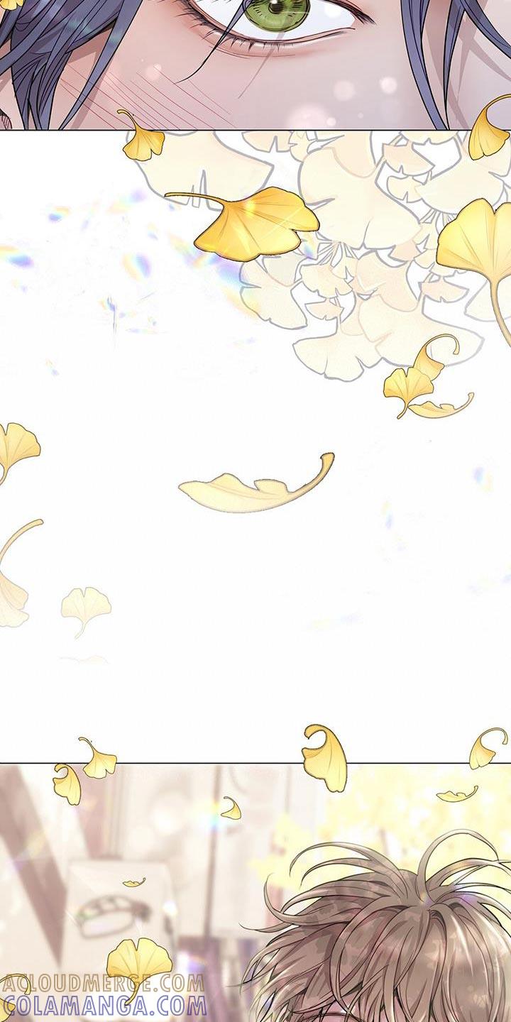 《虚情假意》第79章：绝不可能 第3页