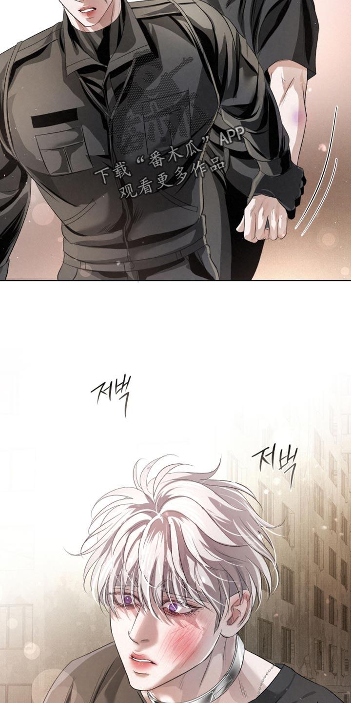 《血液指南》第81章：【第二季】真正的传导 第2页