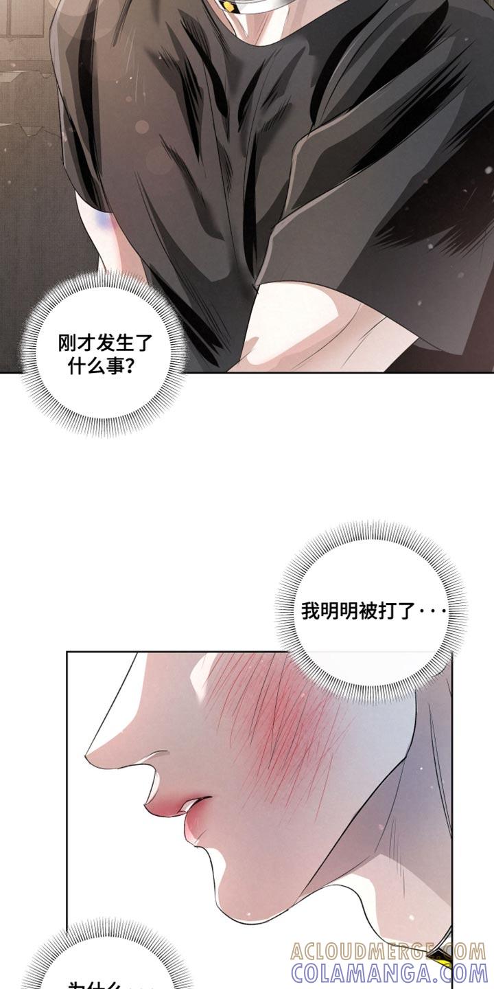 《血液指南》第81章：【第二季】真正的传导 第3页