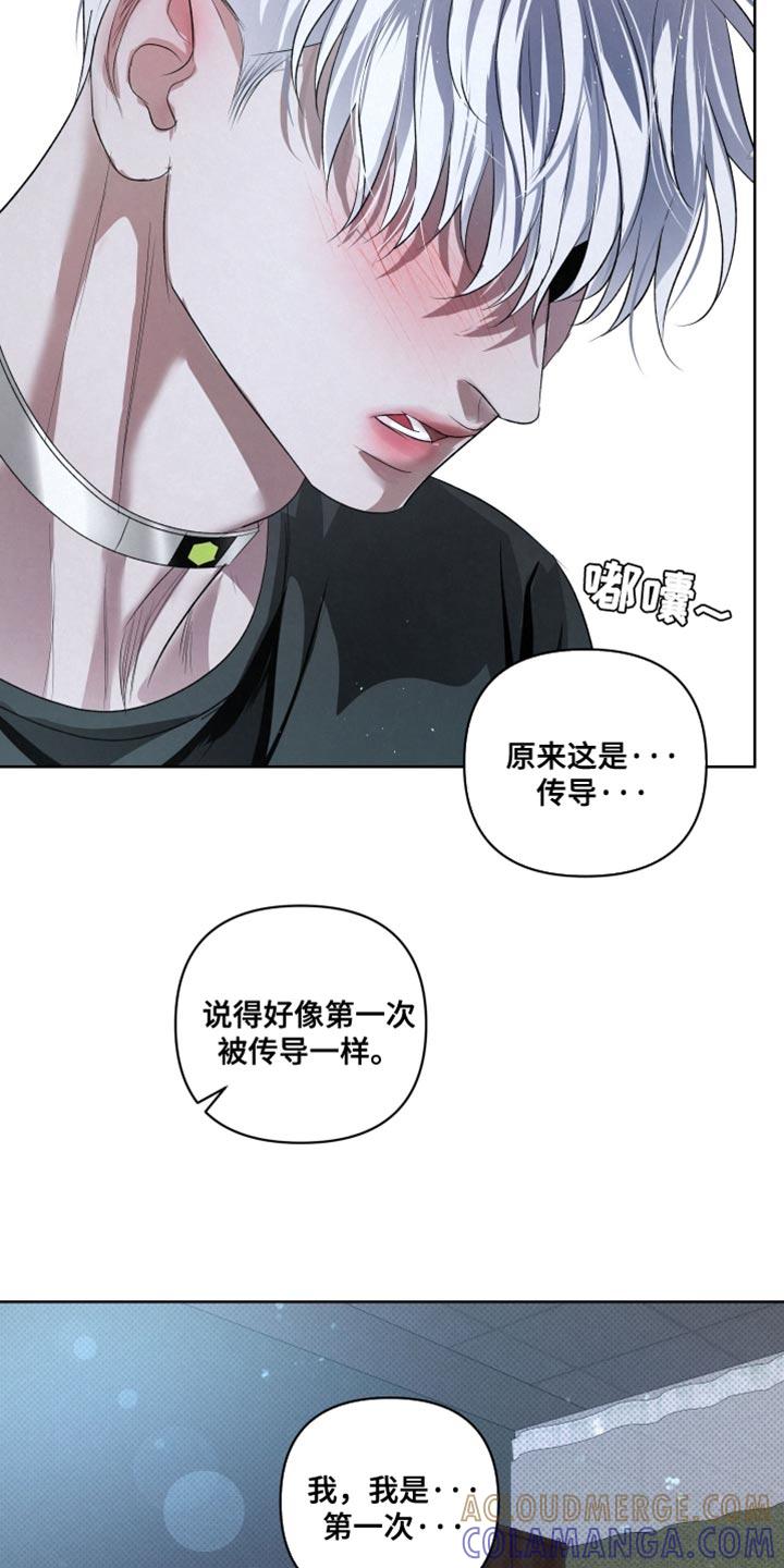 《血液指南》第81章：【第二季】真正的传导 第21页