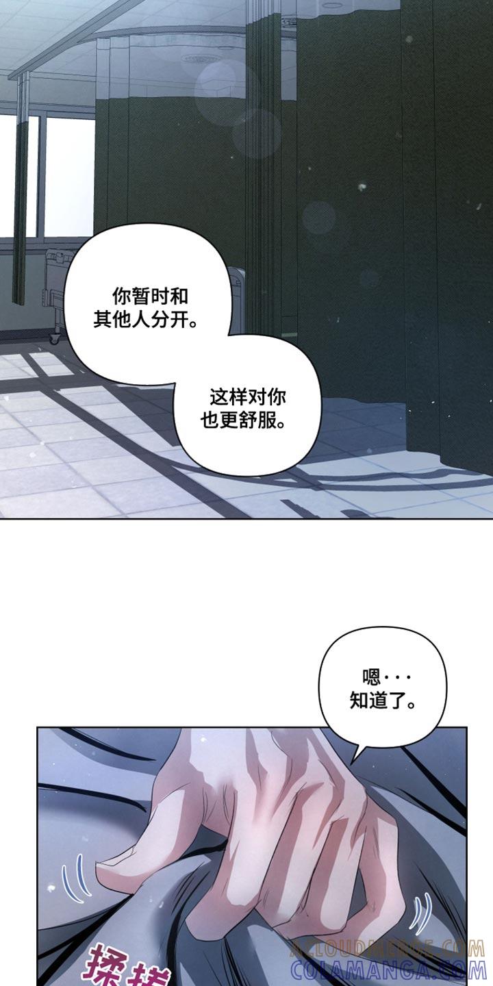 《血液指南》第81章：【第二季】真正的传导 第13页