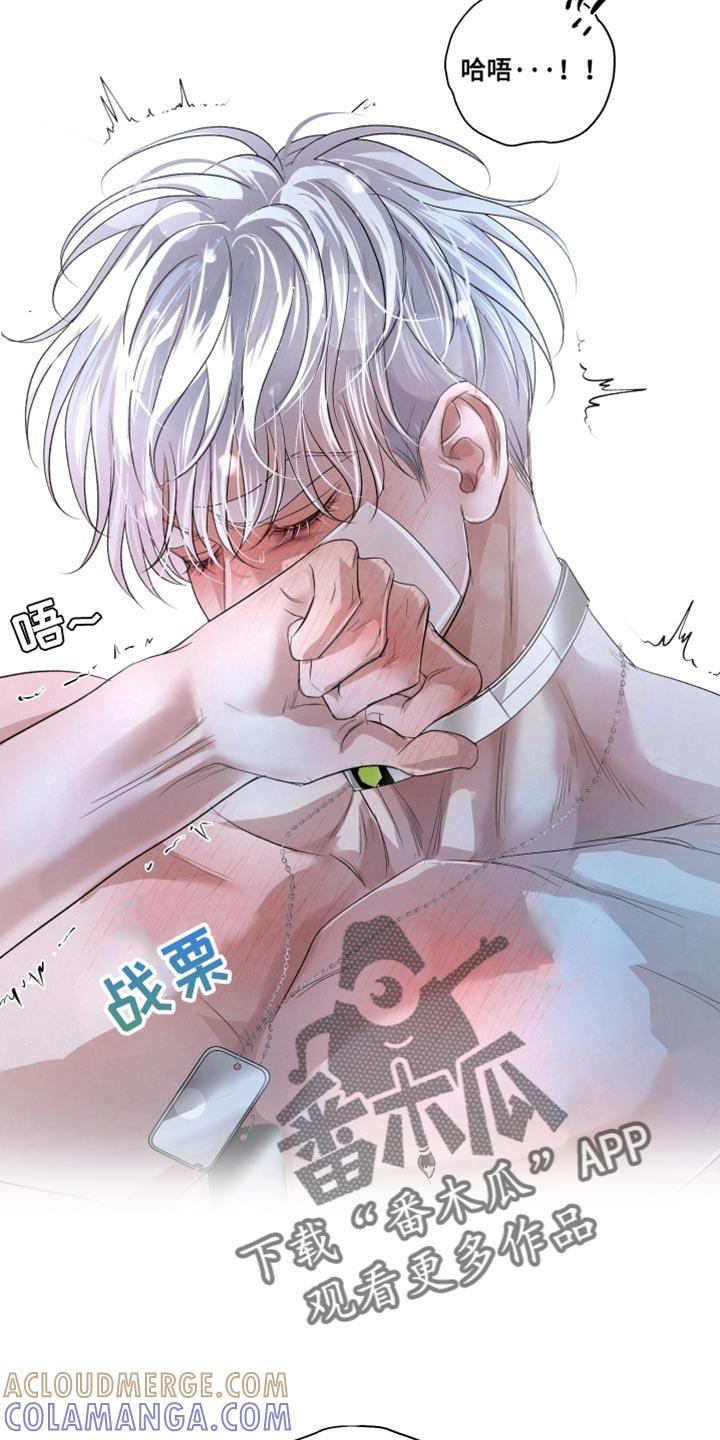 《血液指南》第82章：【第二季】做搭档 第3页