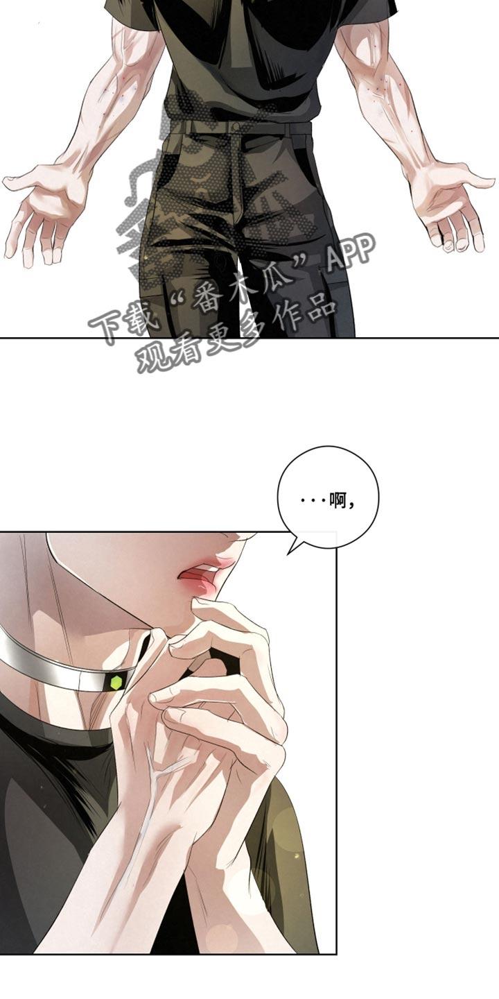 《血液指南》第85章：【第二季】杀了他们 第14页