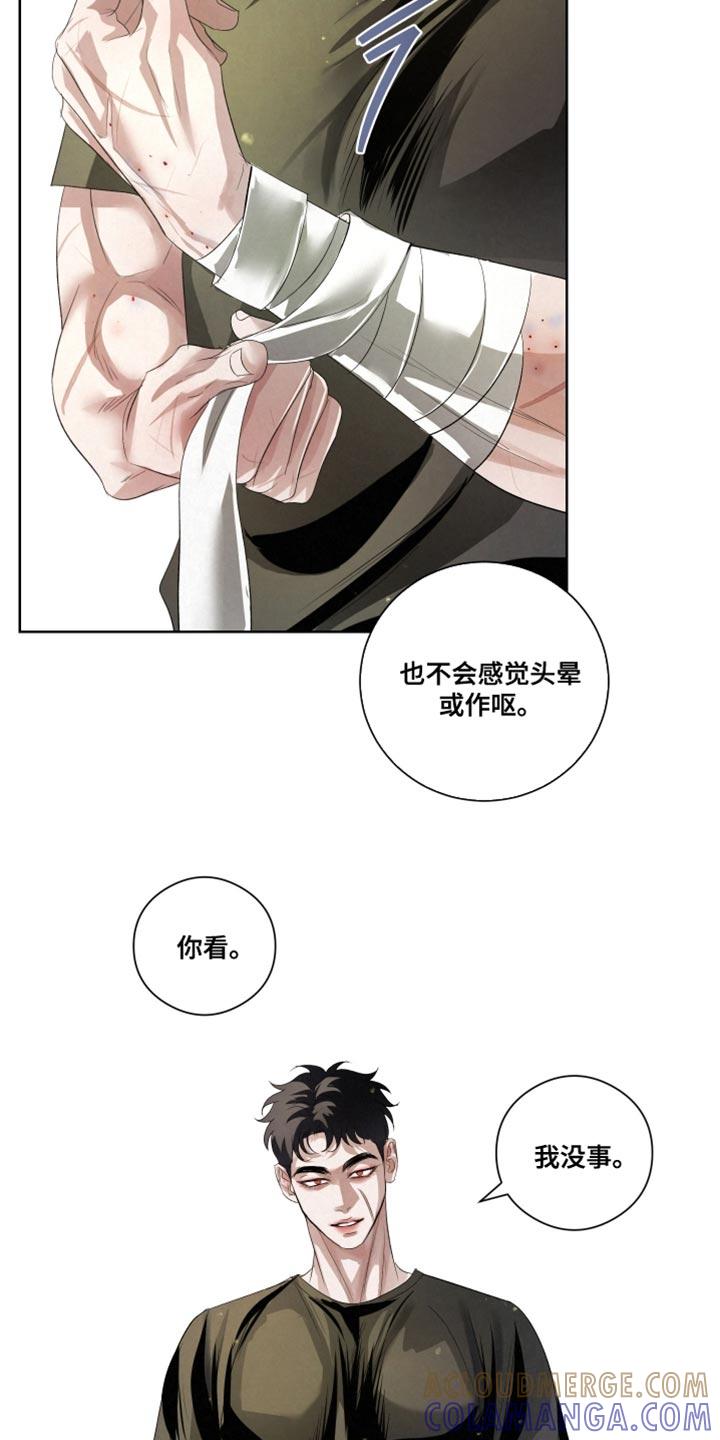 《血液指南》第85章：【第二季】杀了他们 第13页