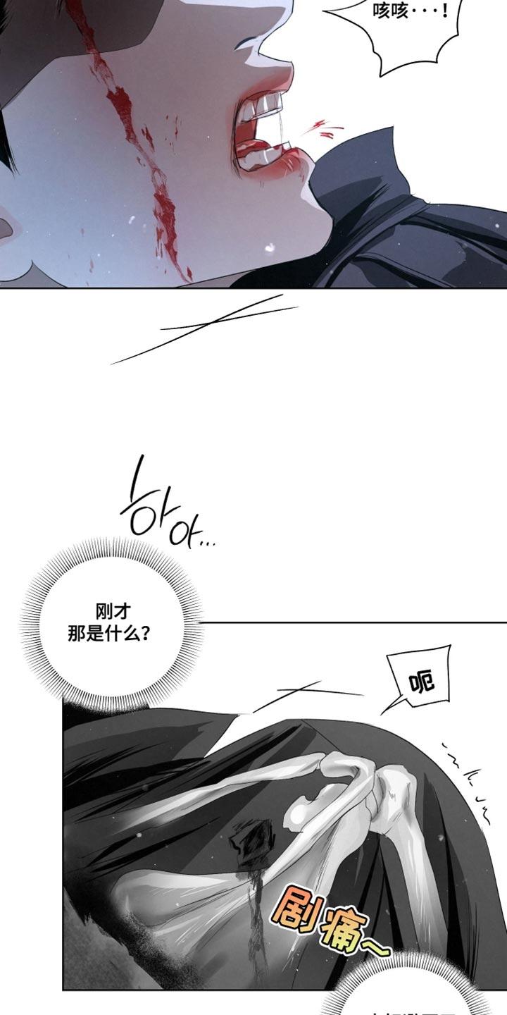 《血液指南》第86章：【第二季完结】下雪了 第2页