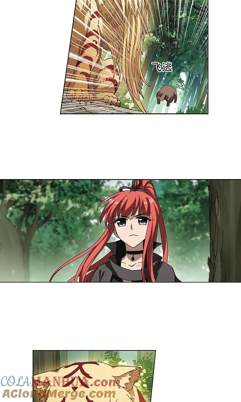 11.jpg