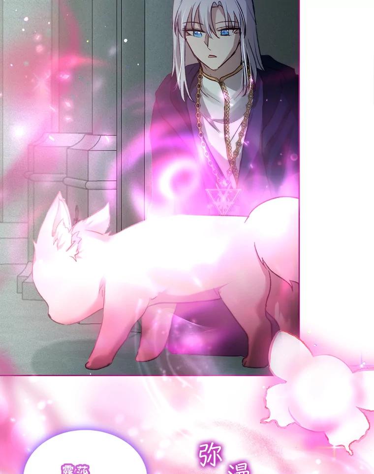 重生为神兽宝宝 - 42.意外的相遇 - 第104张图