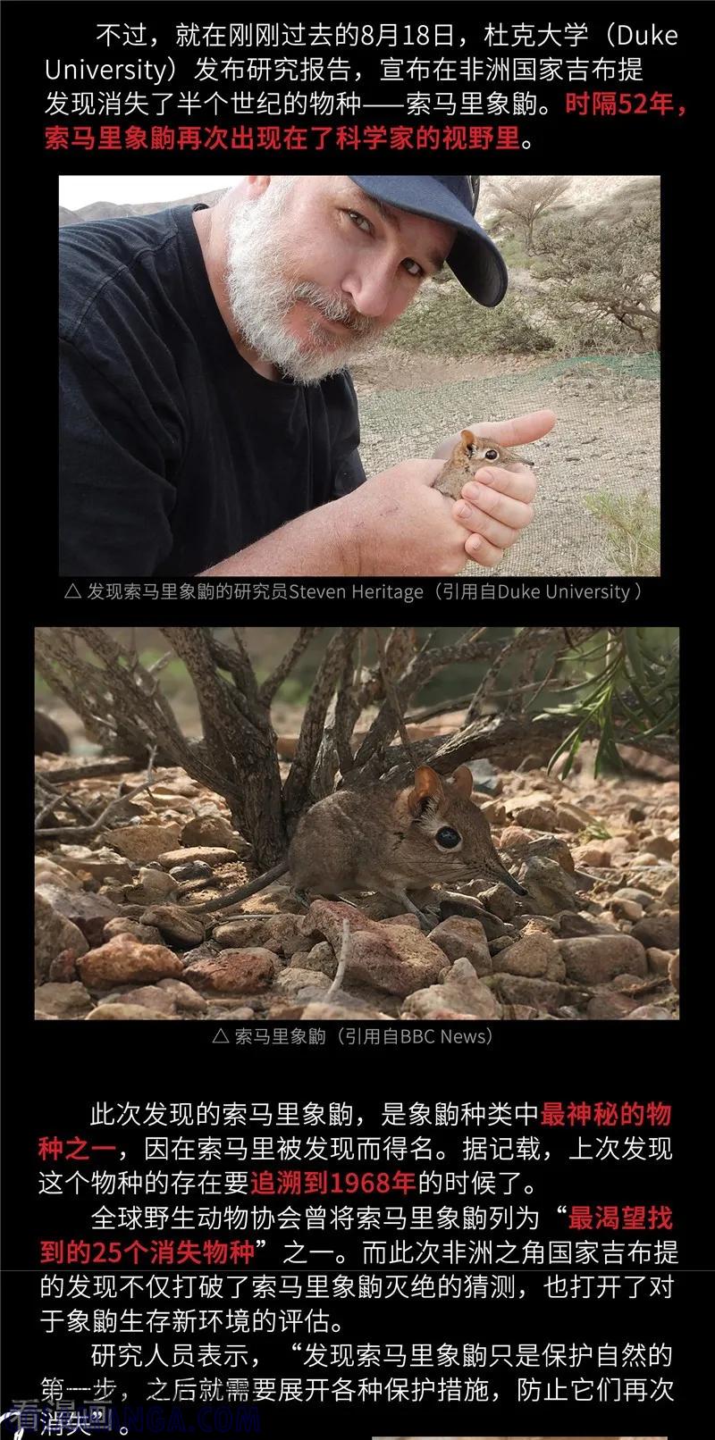 《三木落》小剧场4 长鼻鼠的秘密 第7页