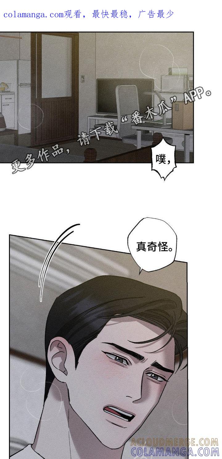 《特写爱意》第45章：别担心 第1页