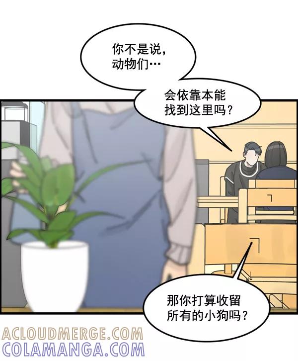 《主人，是我！》[第74话] 不能被发现 第9页