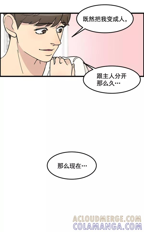 《主人，是我！》[第78话] 在哪里？ 第37页