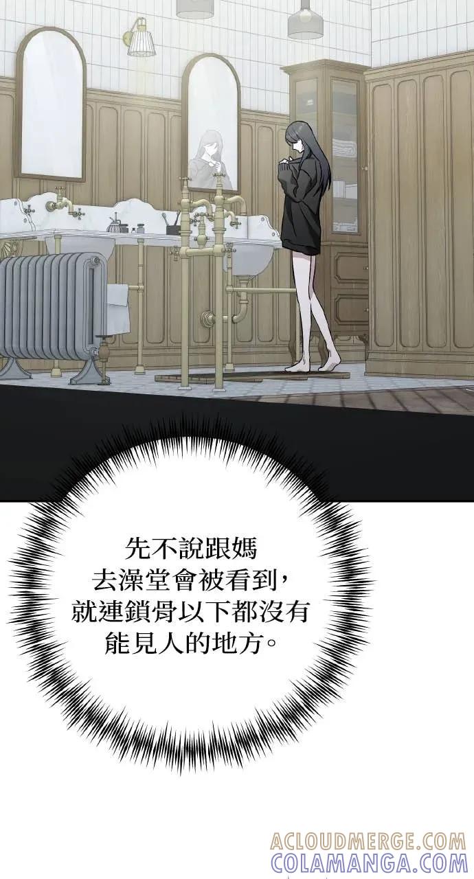 《春之影》第38话 第28页