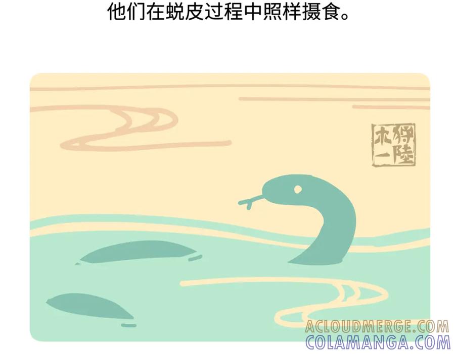 《胖达x胖达》第254话 第23页