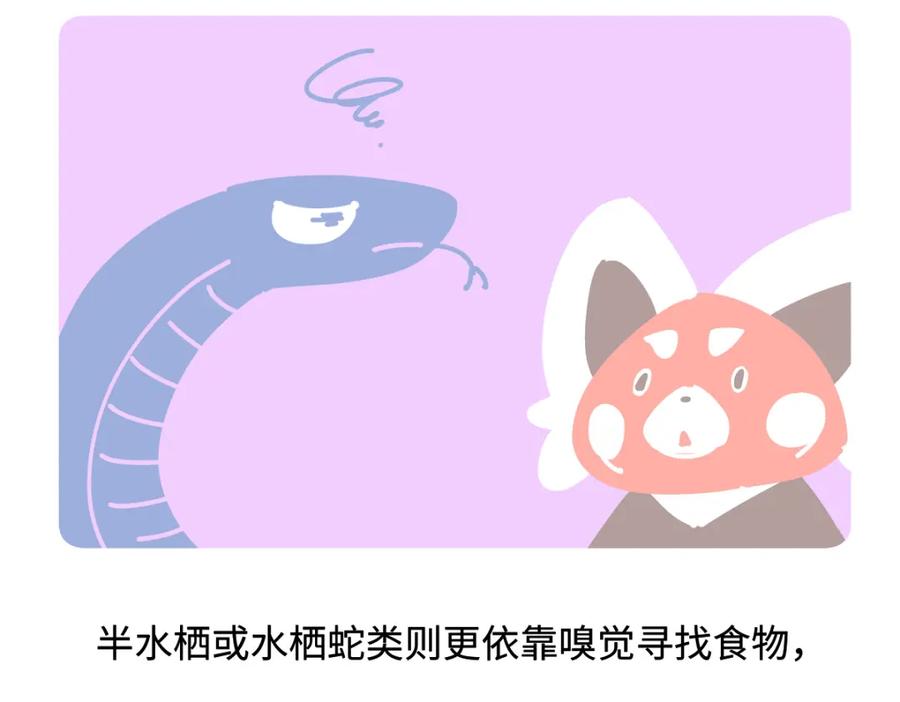 《胖达x胖达》第254话 第22页