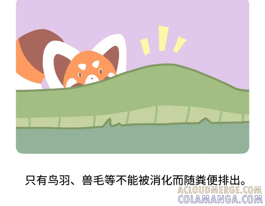 《胖达x胖达》第254话 第27页