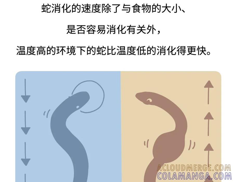 《胖达x胖达》第254话 第29页