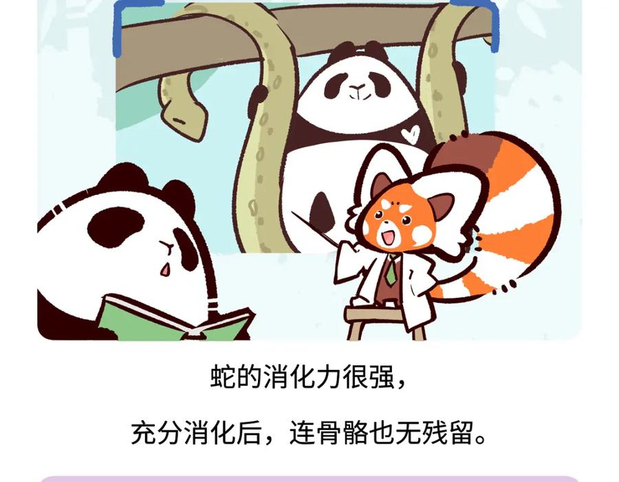 《胖达x胖达》第254话 第26页