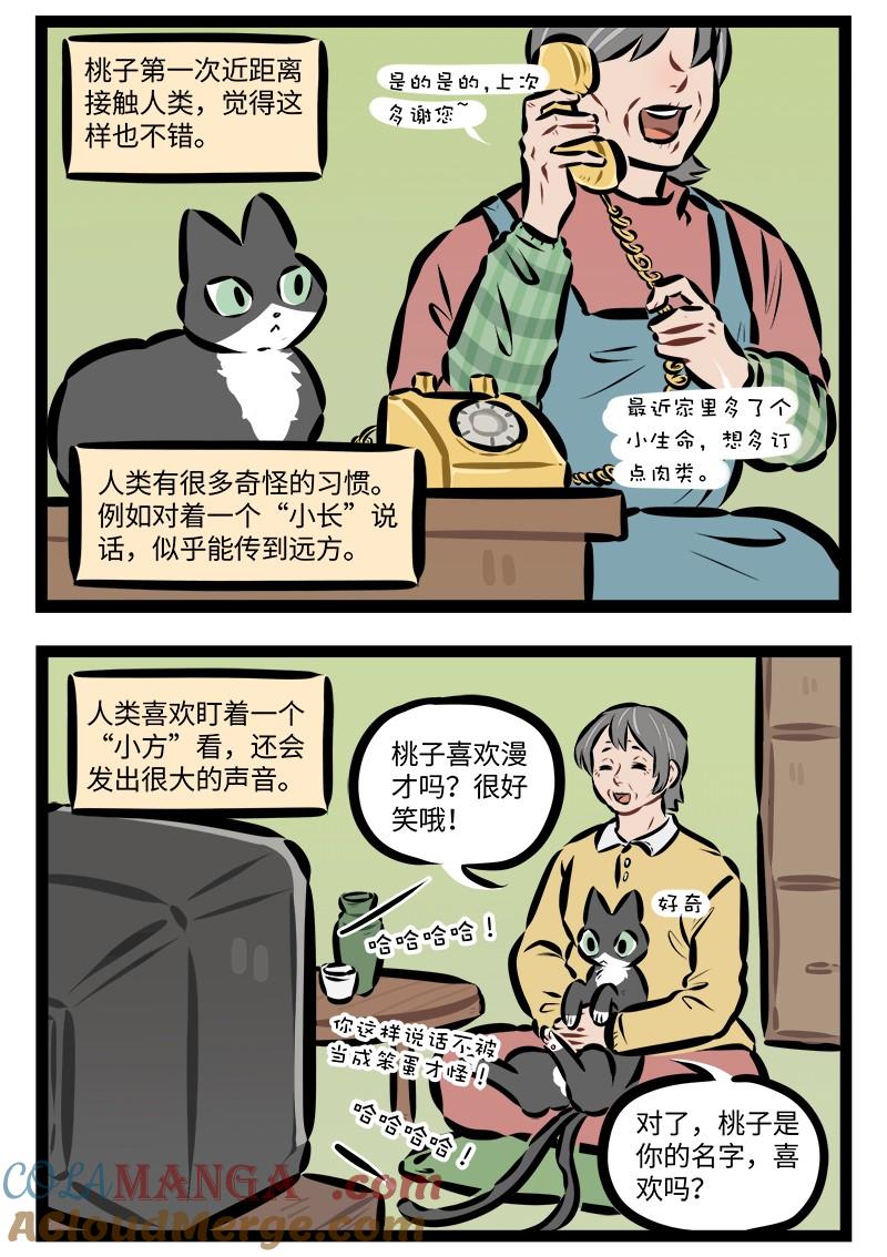 1031万圣街 第928话 收养 第3页