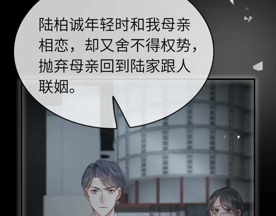 《分手后她成了热搜女王》40 夏夏折腾陆家 第68页