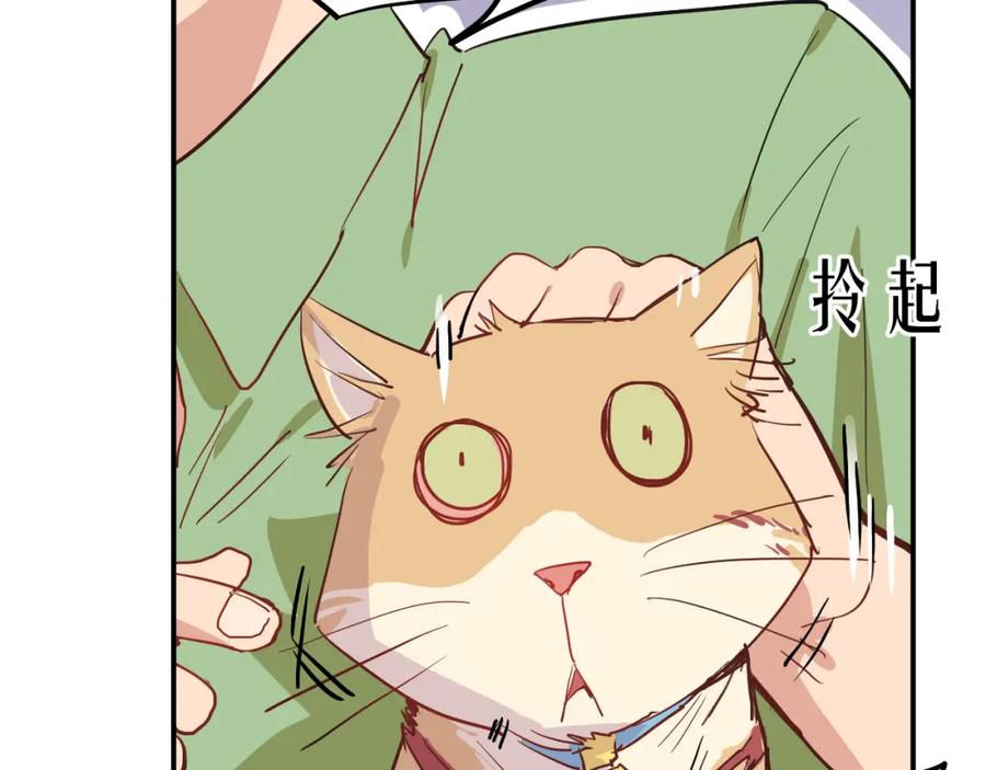 《分手计划》第6话 白欣莹 第72页