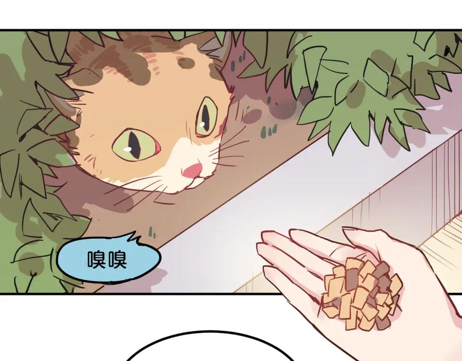《分手计划》第6话 白欣莹 第48页