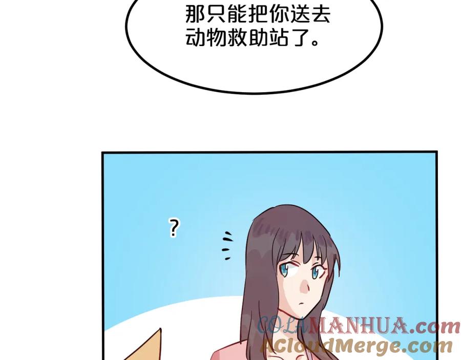 《分手计划》第6话 白欣莹 第61页
