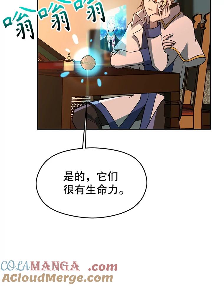 《超越时间的大魔导士》99.发现端倪 第85页