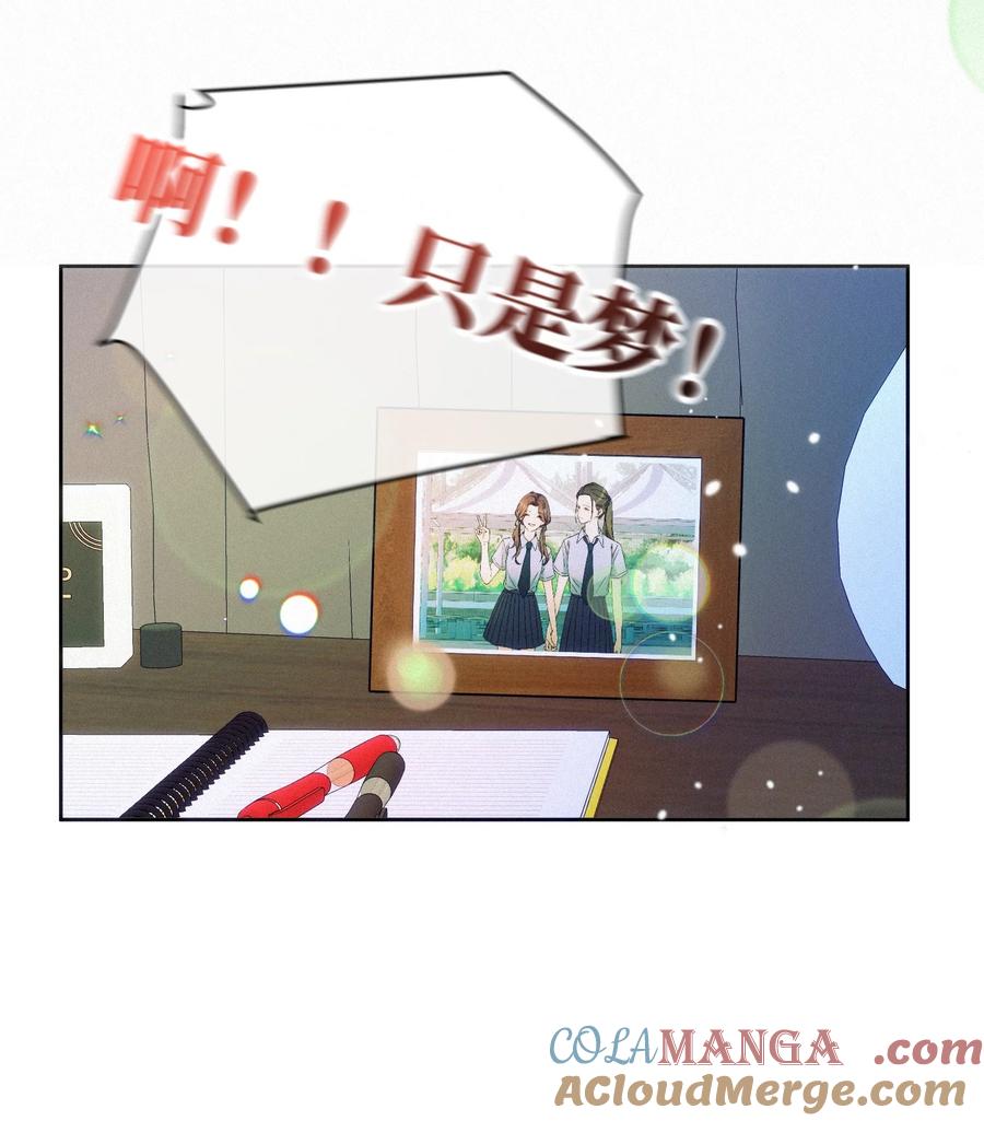 《复仇爱人》20 不该有的梦 第19页