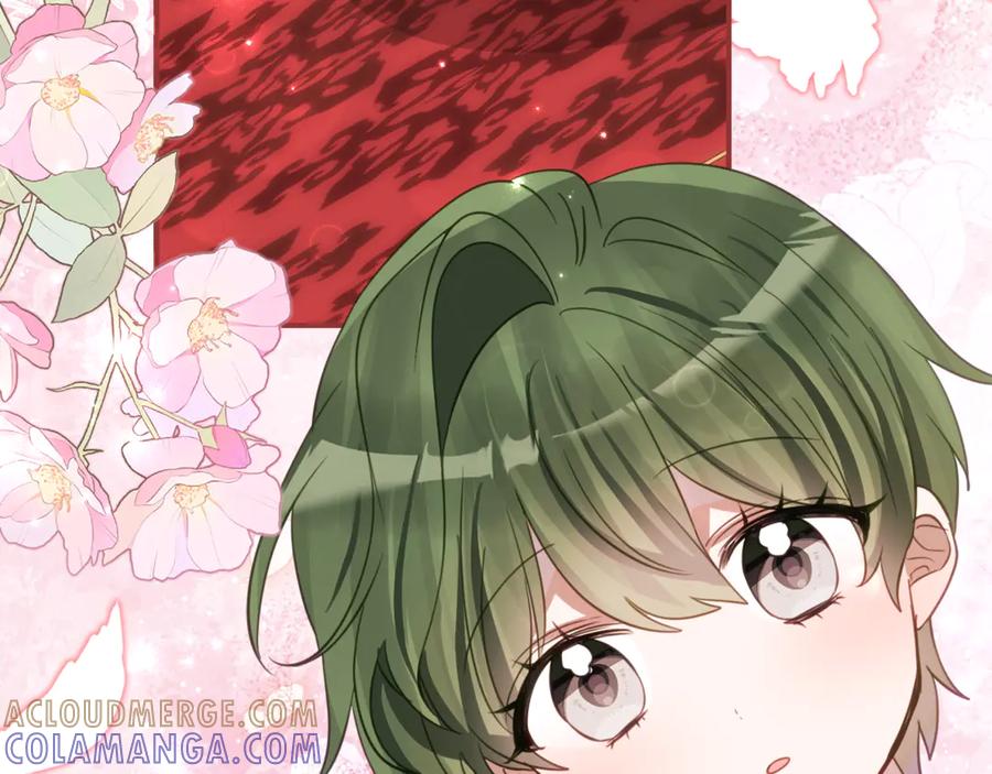《刻薄公爵家的合约女儿》第61话 半正式亮相社交界 第117页
