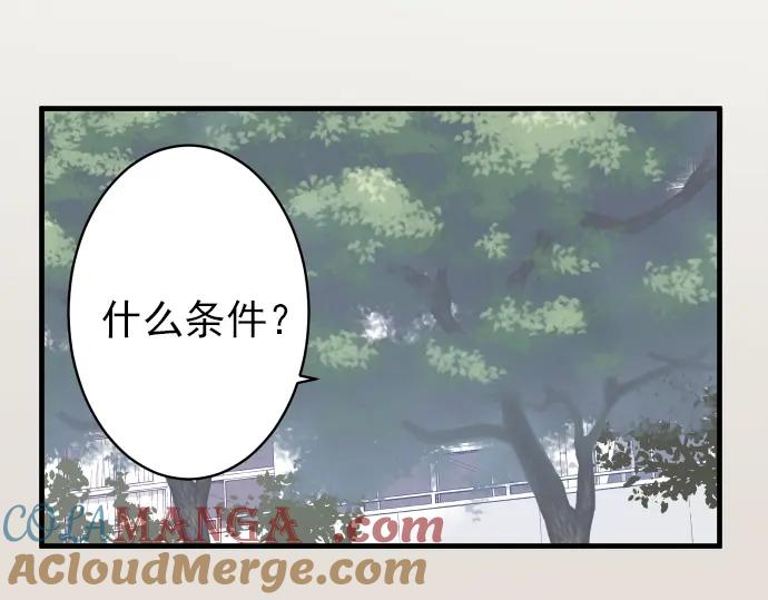 复仇要冷冷端上 - 第107话 讨价 - 第55张图