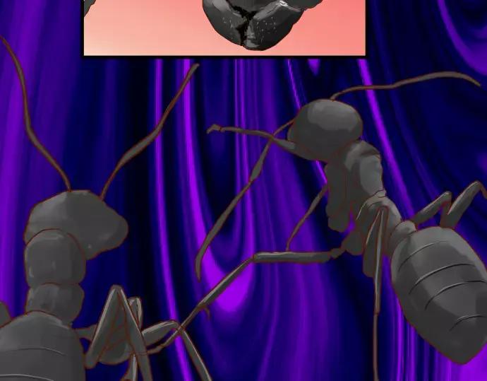 复仇要冷冷端上 - 第141话 疑心 - 第3张图