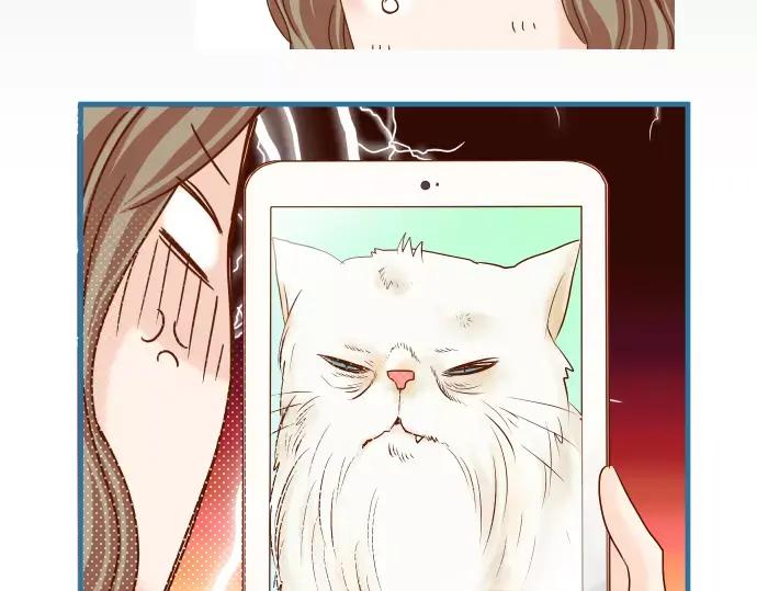 复仇要冷冷端上 - 第143话 掠影 - 第40张图