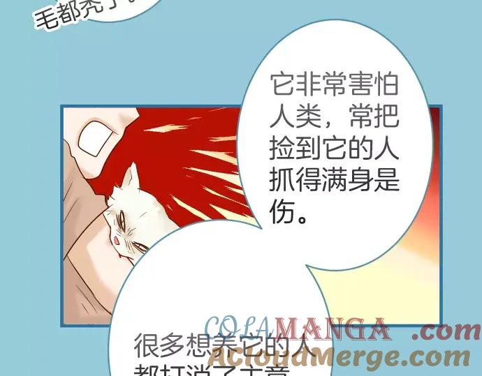 复仇要冷冷端上 - 第143话 掠影 - 第73张图