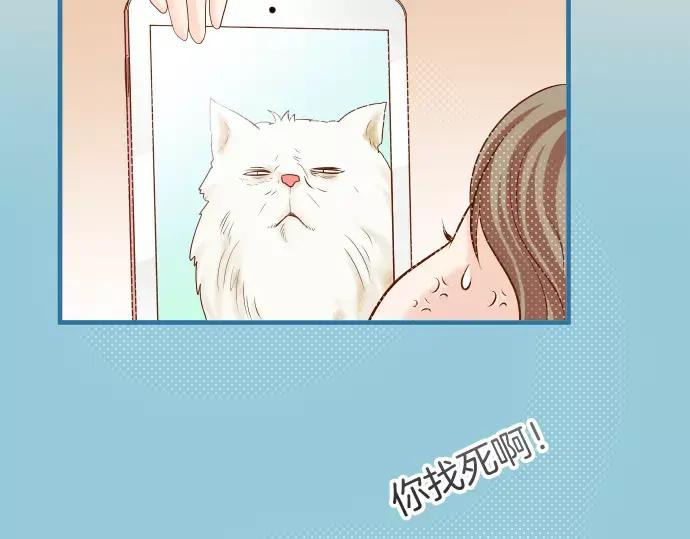 复仇要冷冷端上 - 第143话 掠影 - 第71张图