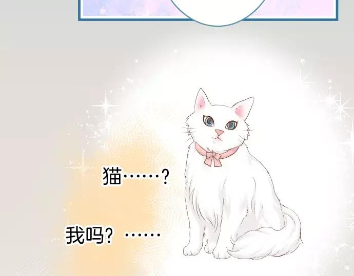 复仇要冷冷端上 - 第143话 掠影 - 第38张图