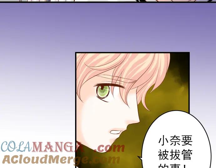 复仇要冷冷端上 - 第164话 准备 - 第28张图