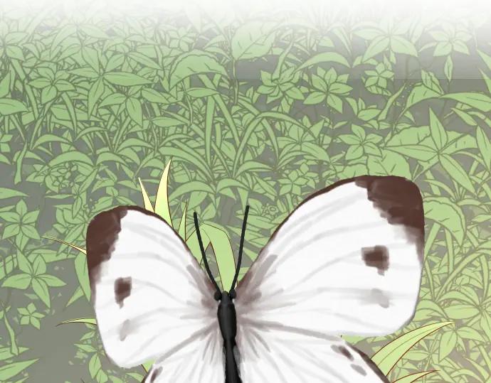 复仇要冷冷端上 - 第203话 重启 - 第4张图