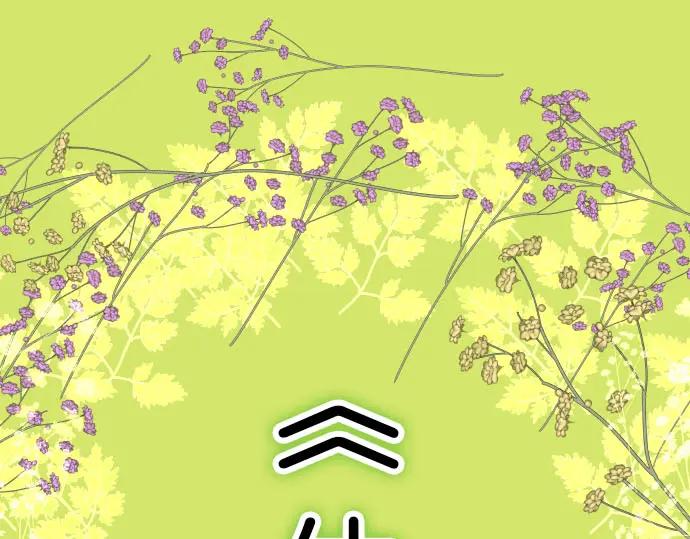 复仇要冷冷端上 - 第246.5话 休刊启事 - 第4张图