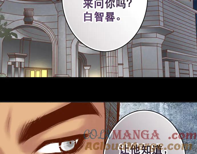 复仇要冷冷端上 - 第287话 消息 - 第97张图