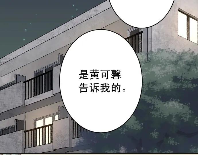 复仇要冷冷端上 - 第322话 蝙蝠 - 第15张图