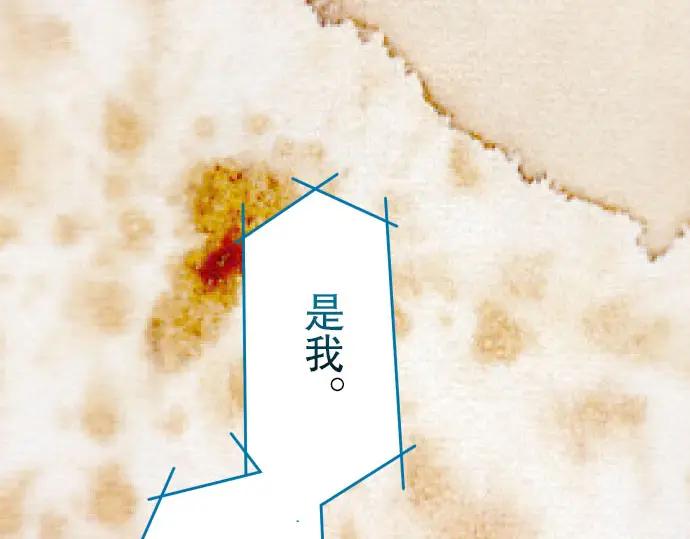 复仇要冷冷端上 - 第35话 威胁 - 第67张图